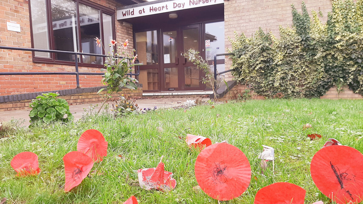 Poppies in Garden